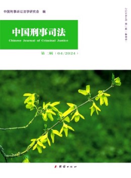 中国刑事司法
